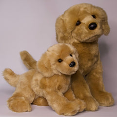Honey Golden Retriever
