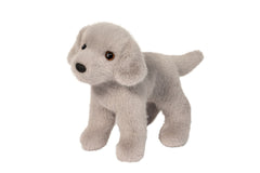 Slate Silver Lab
