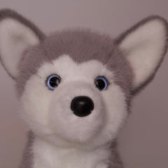 Flurrie Soft Husky