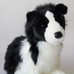 Chase Border Collie