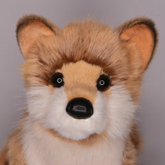 Dove Pomsky