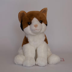 Patches Calico Cat