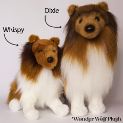 Whispy Sheltie