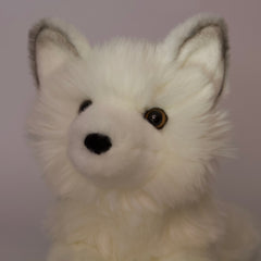 Yuki Arctic Fox