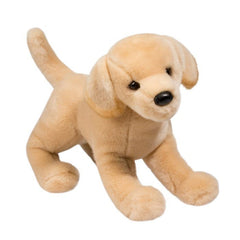 Mandy Yellow Labrador