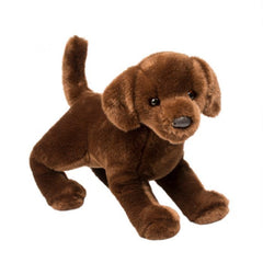 Cocoa Chocolate Labrador