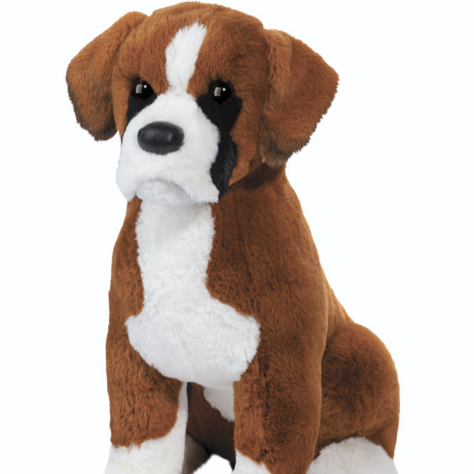 Chance Boxer