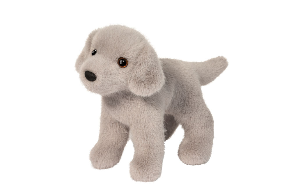 Slate Silver Lab