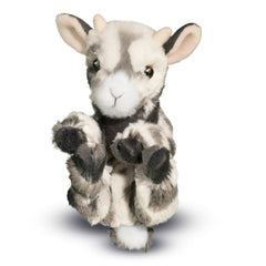 Lil Baby Goat
