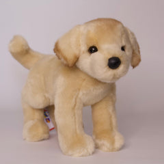 Spankie Yellow Lab