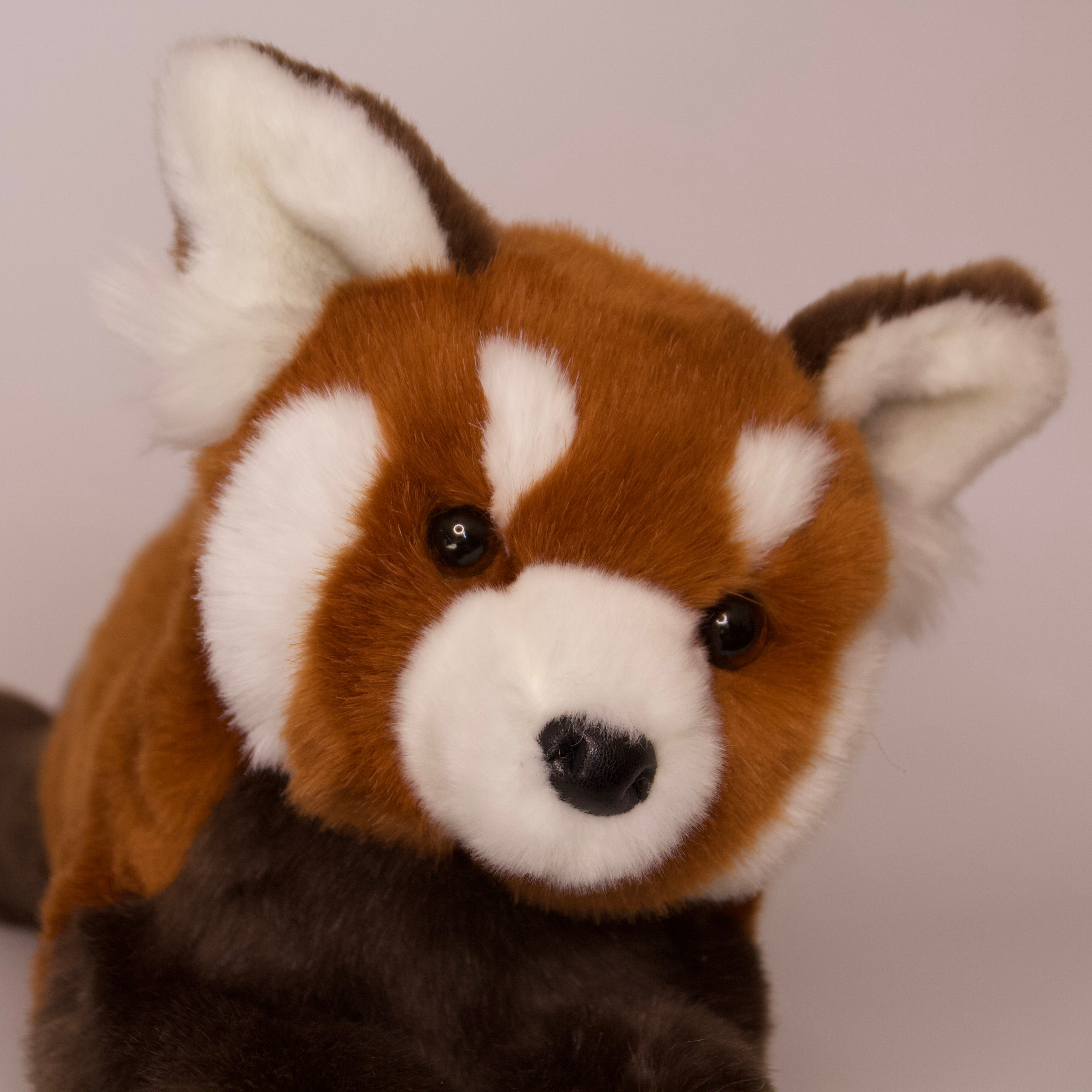 Rowan DLux Red Panda