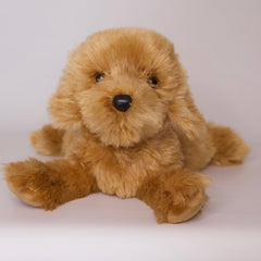 Addie Caramel Labradoodle