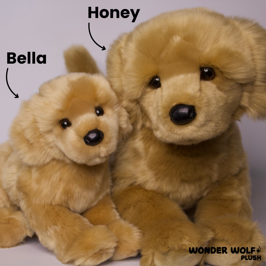 Honey Golden Retriever