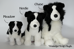 Meadow Border Collie