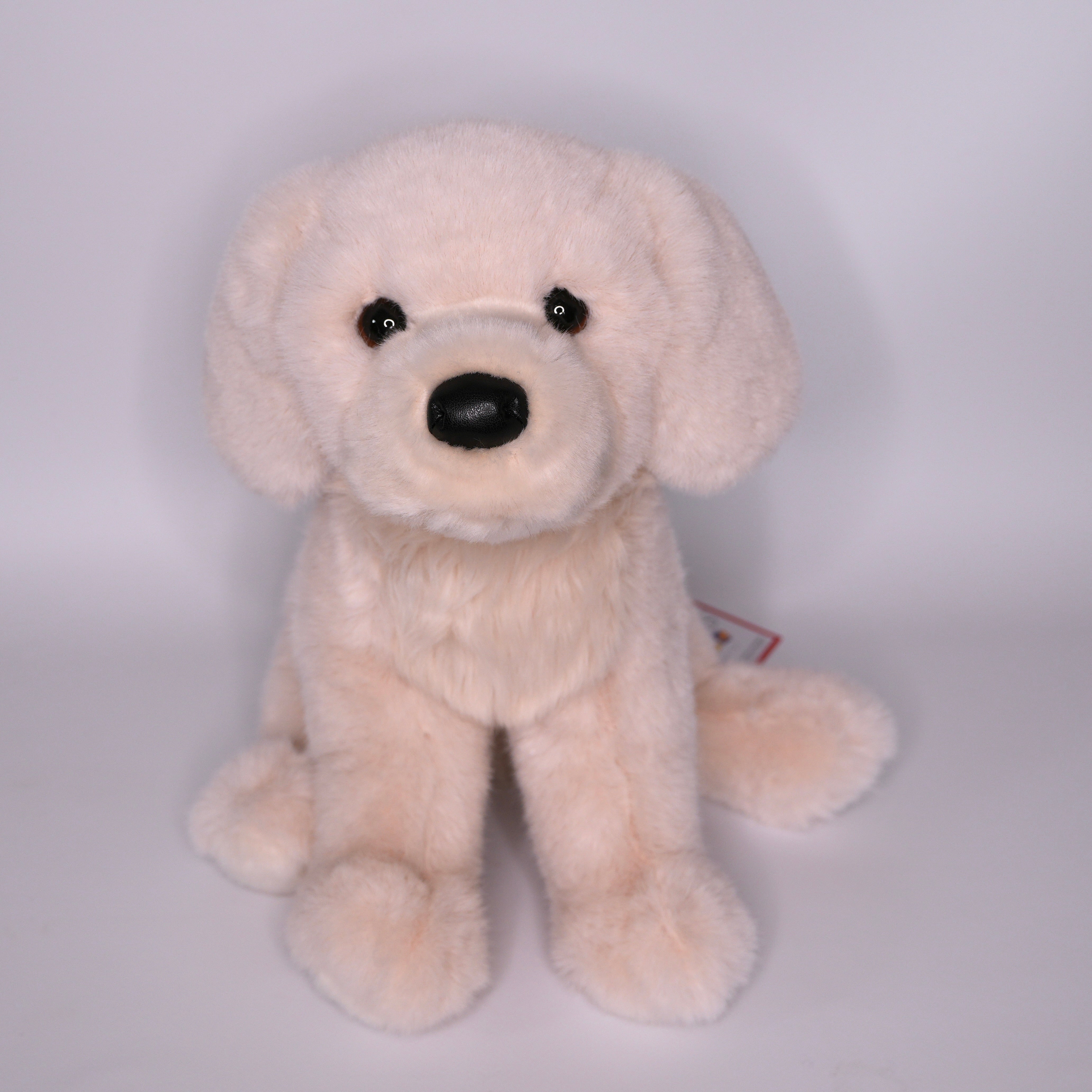 Everest White Retriever
