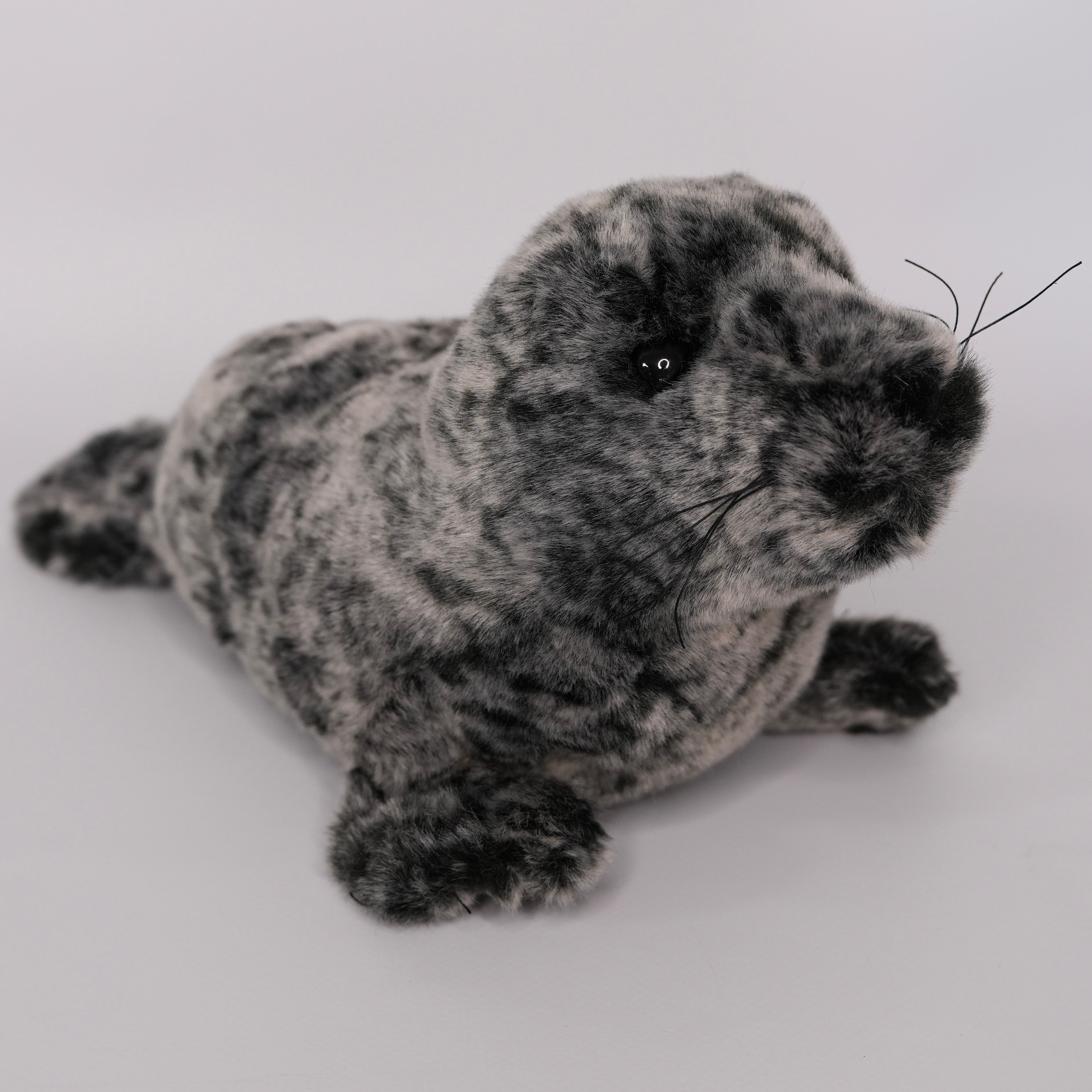 Speckles Monk Seal