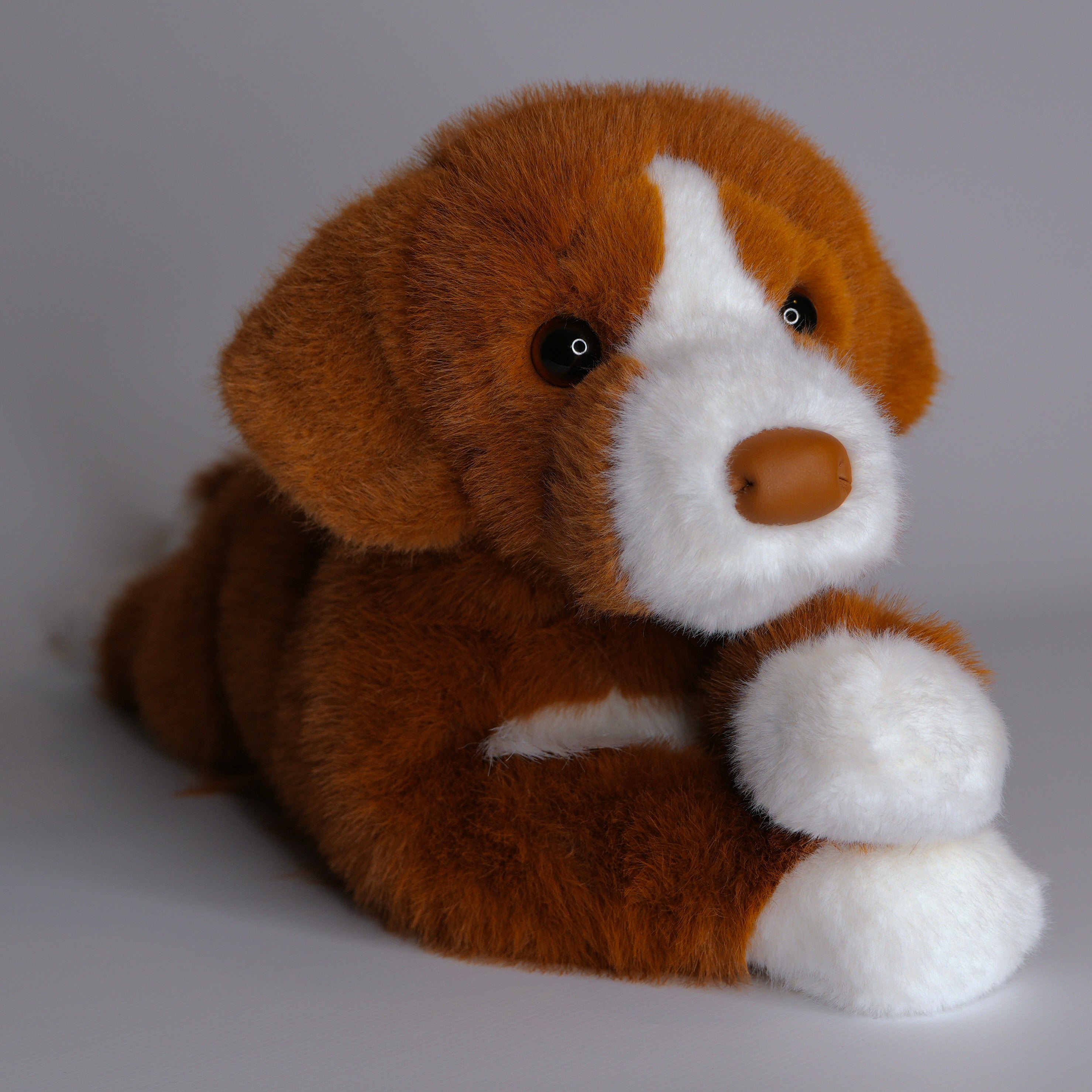 Rush Duck Tolling Retriever