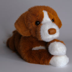 Rush Duck Tolling Retriever