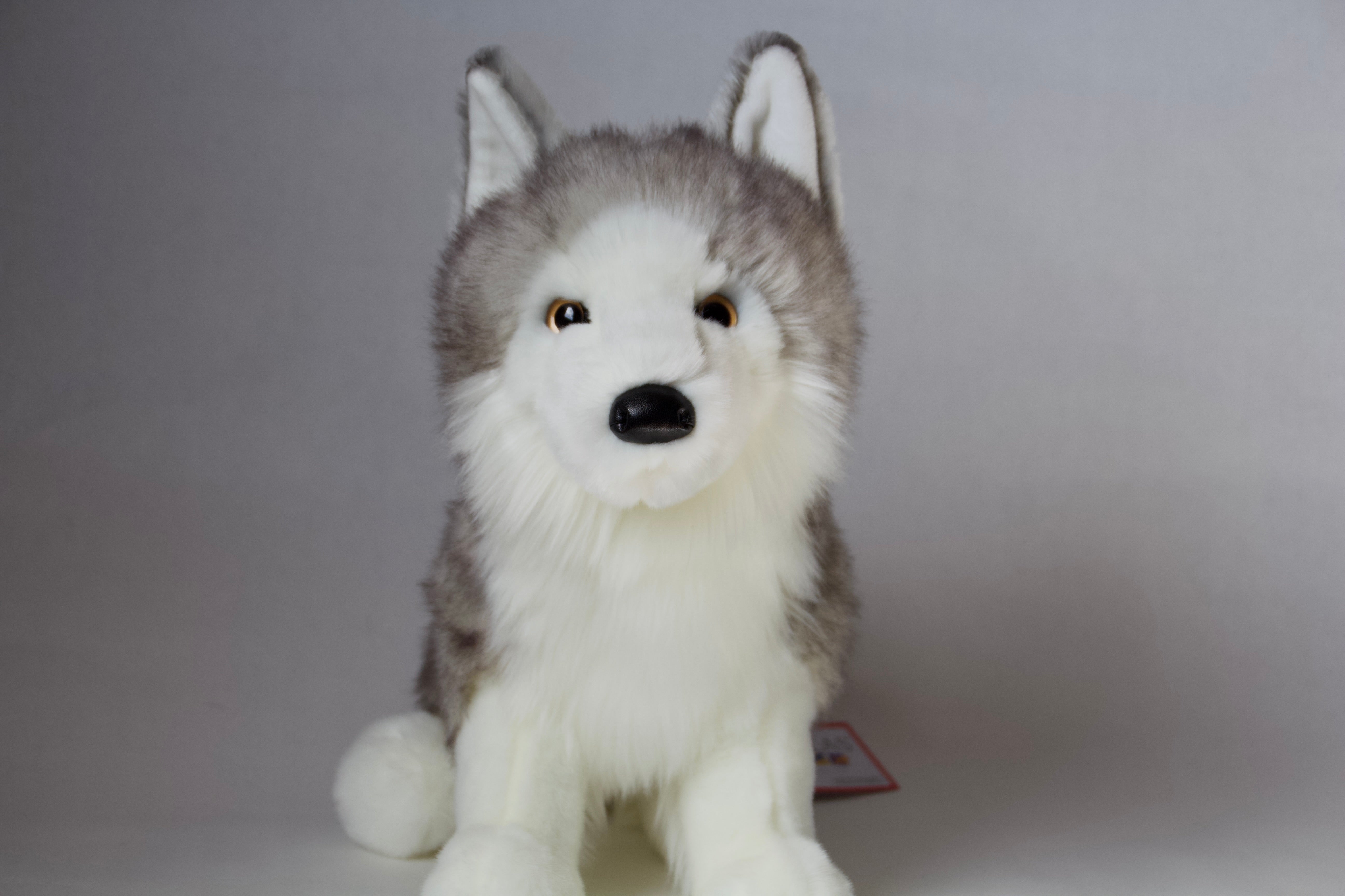 Shadow White Wolf
