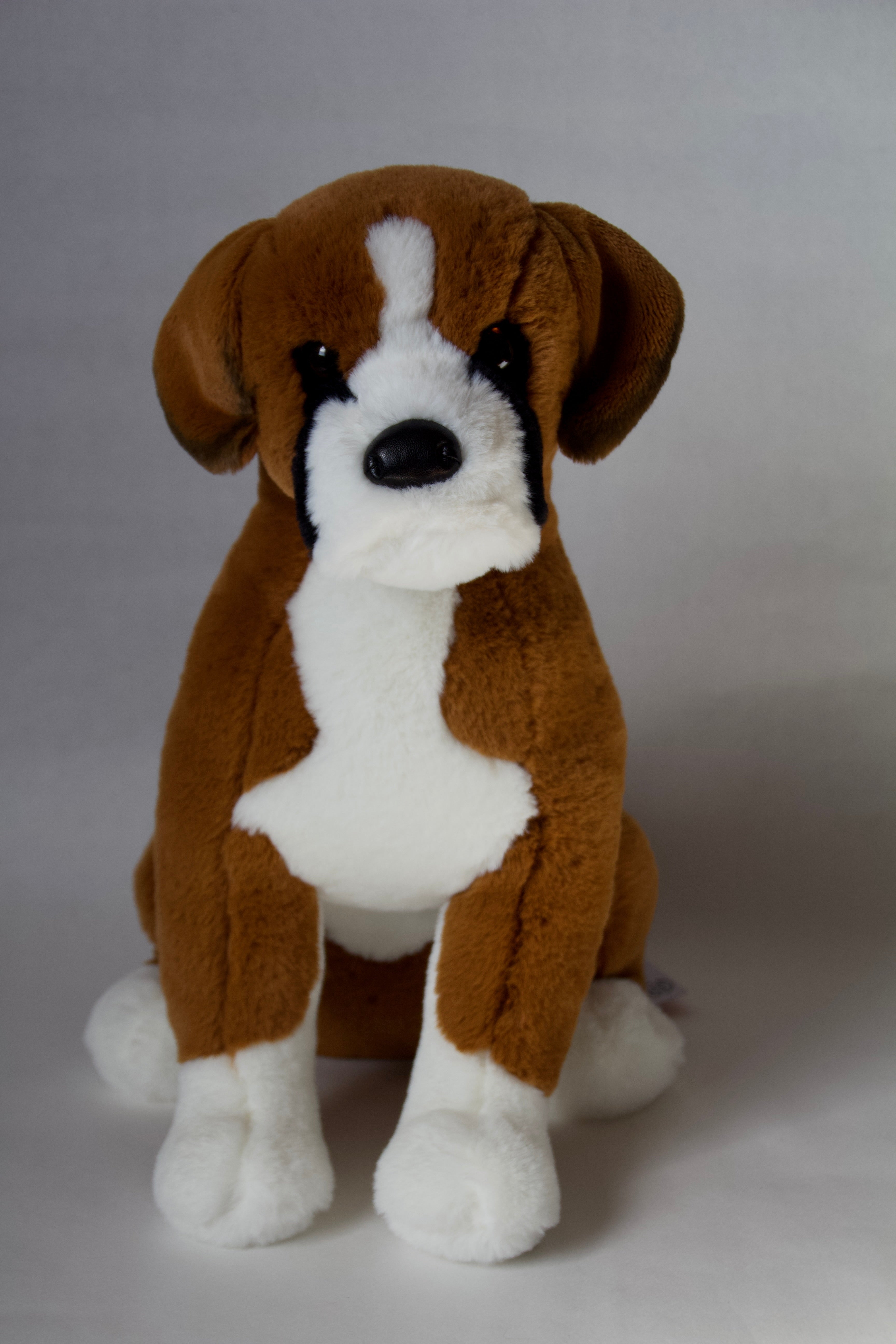 Chance Boxer