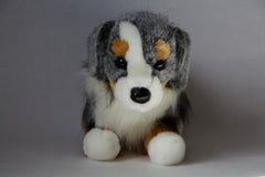 Sinclair Australian Shepherd