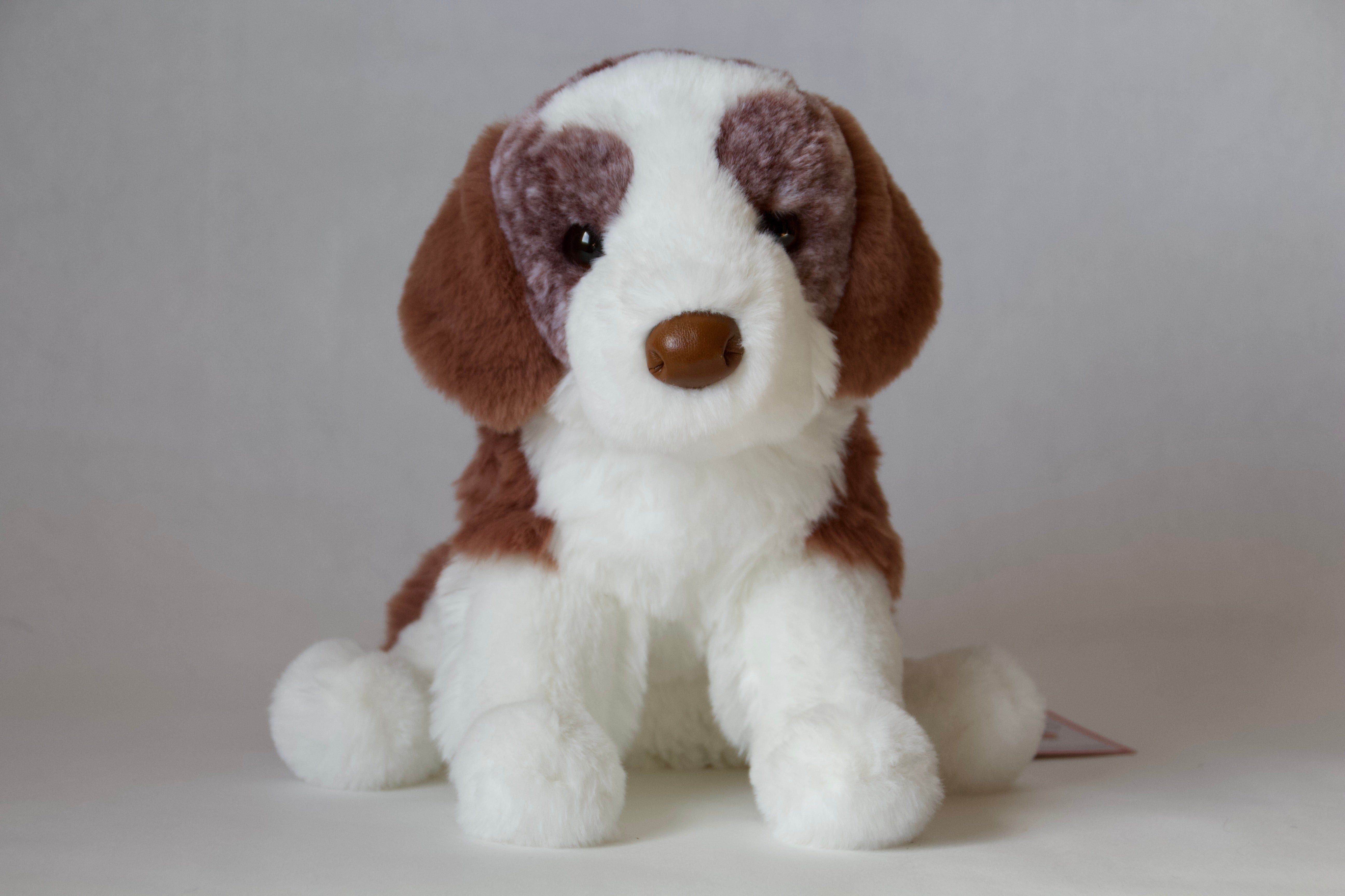 Rancher Red Australian Shepherd