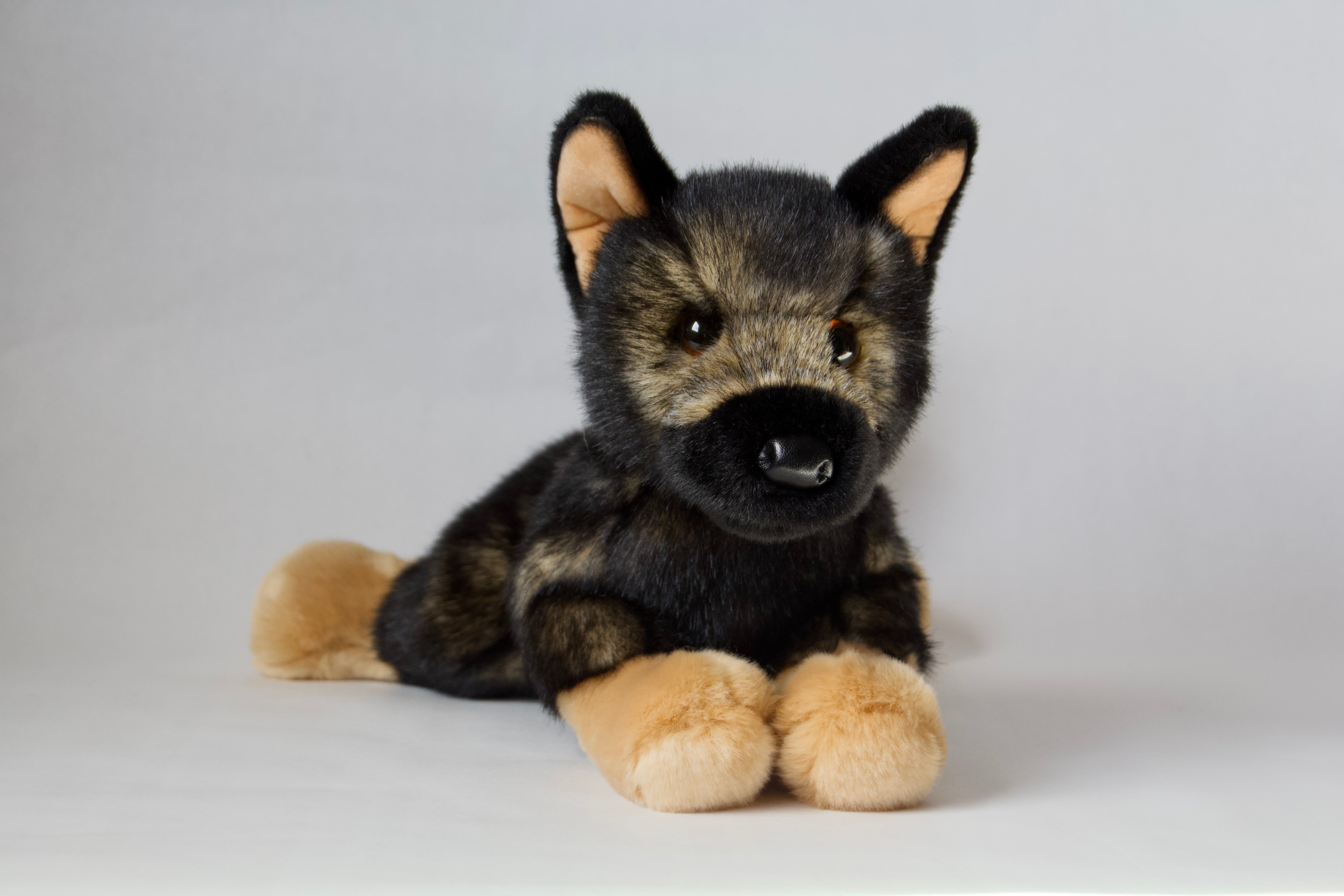 Chief German Shepherd