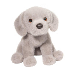 Argento Silver Labrador