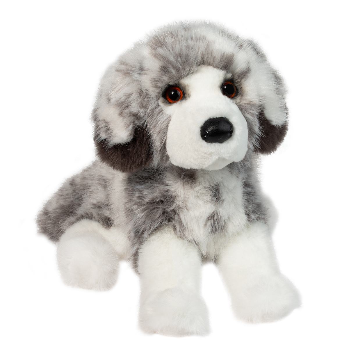 Skylar DLux Australian Shepherd