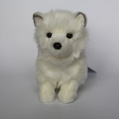 Phoebe Pomsky
