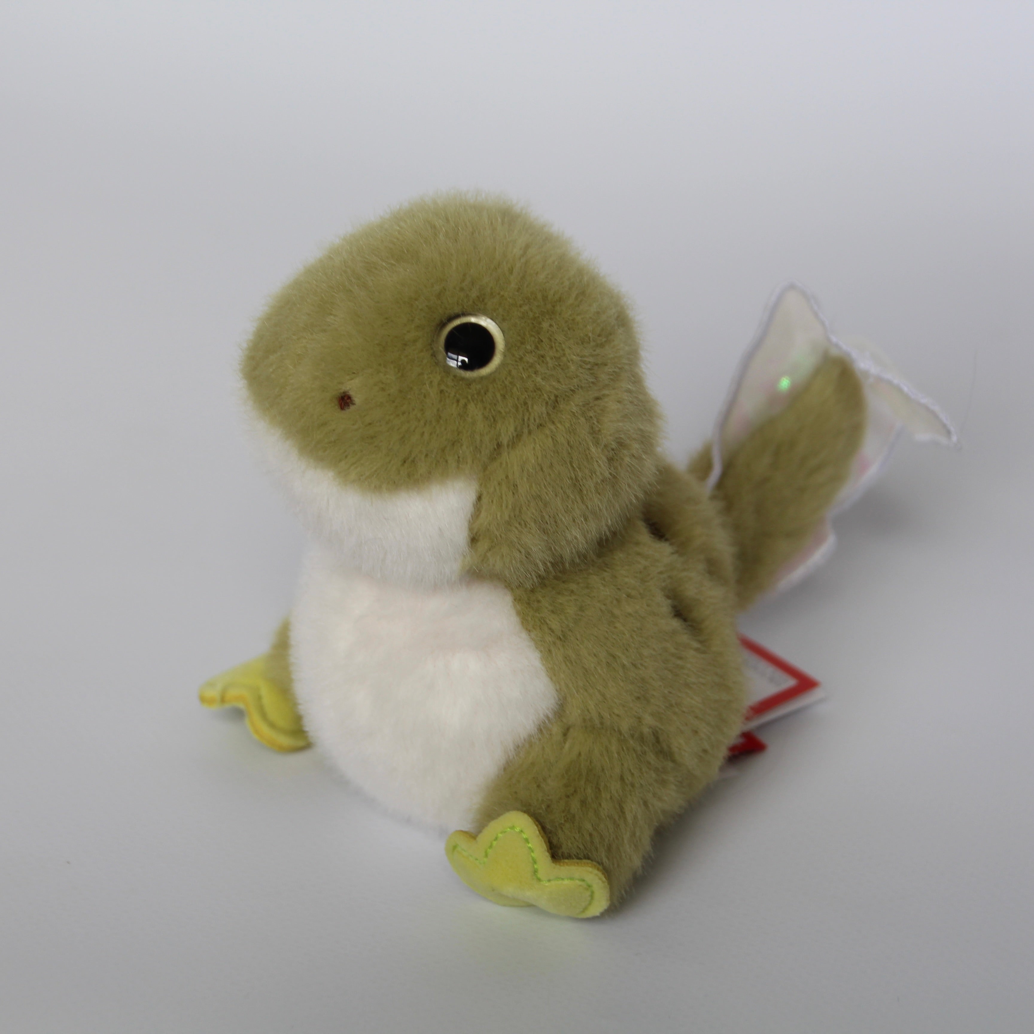 Taddie Tadpole