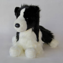 Chase Border Collie