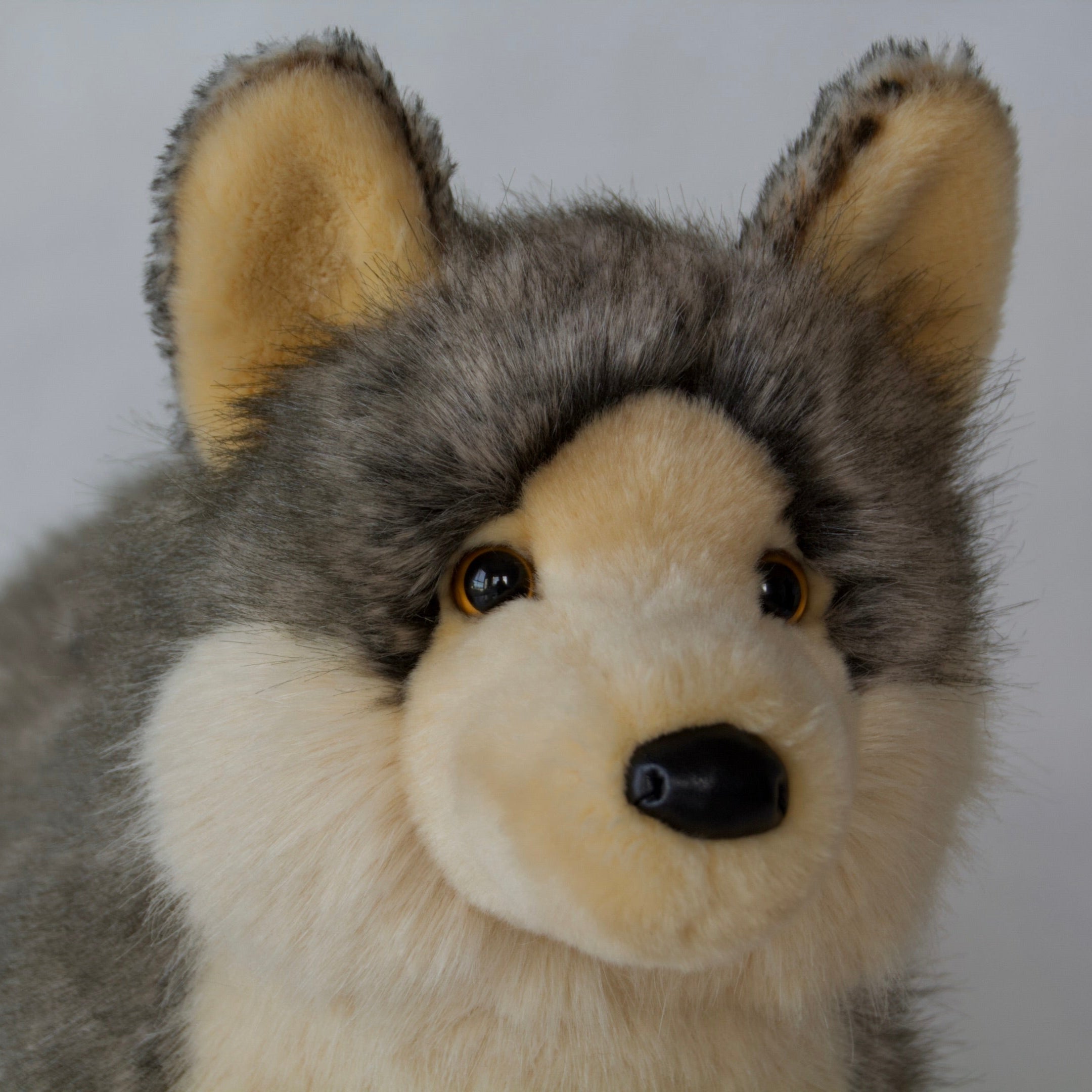 Niko DLux Wolf