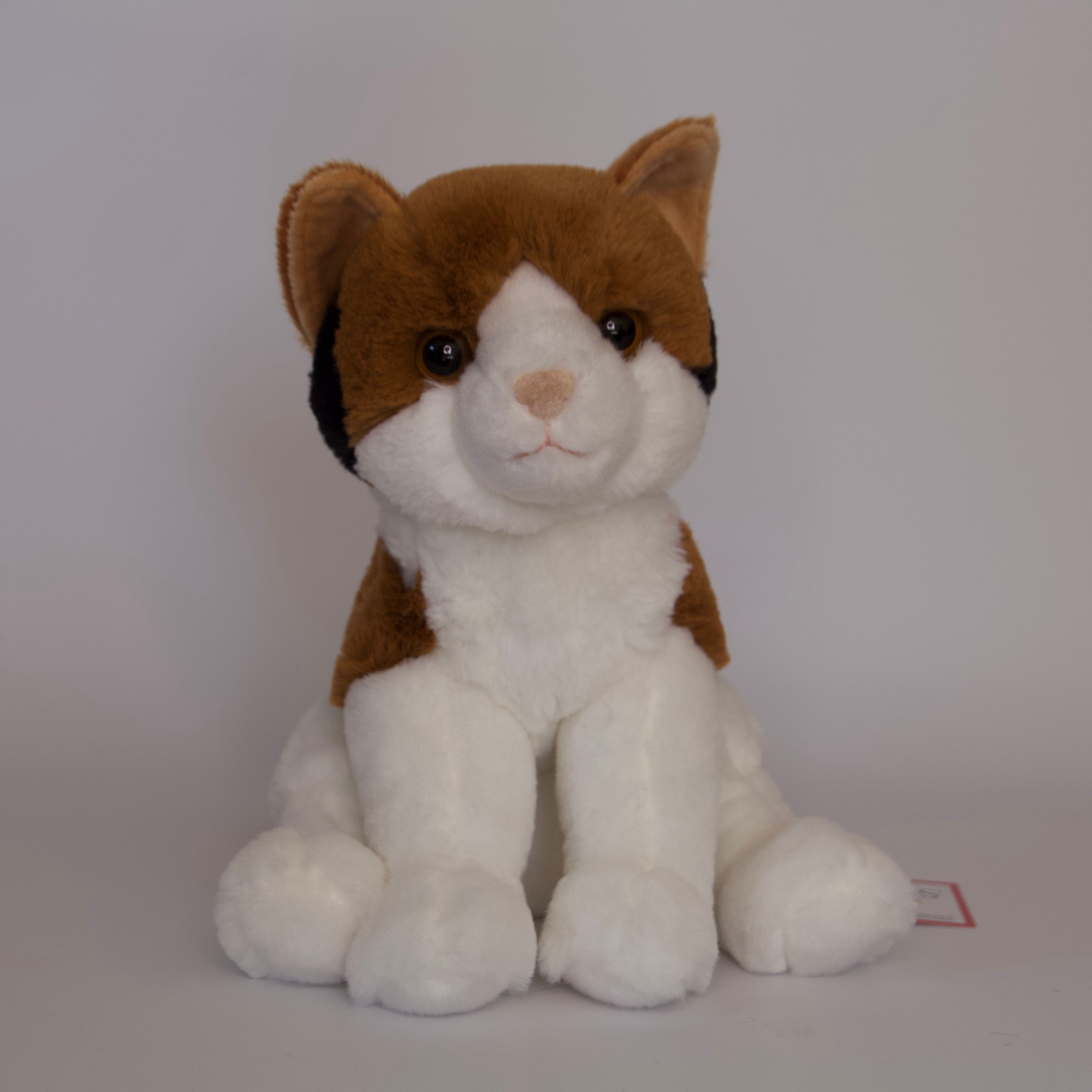 Patches Calico Cat