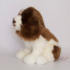 Chip Springer Spaniel
