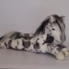 Starsky Appaloosa Horse
