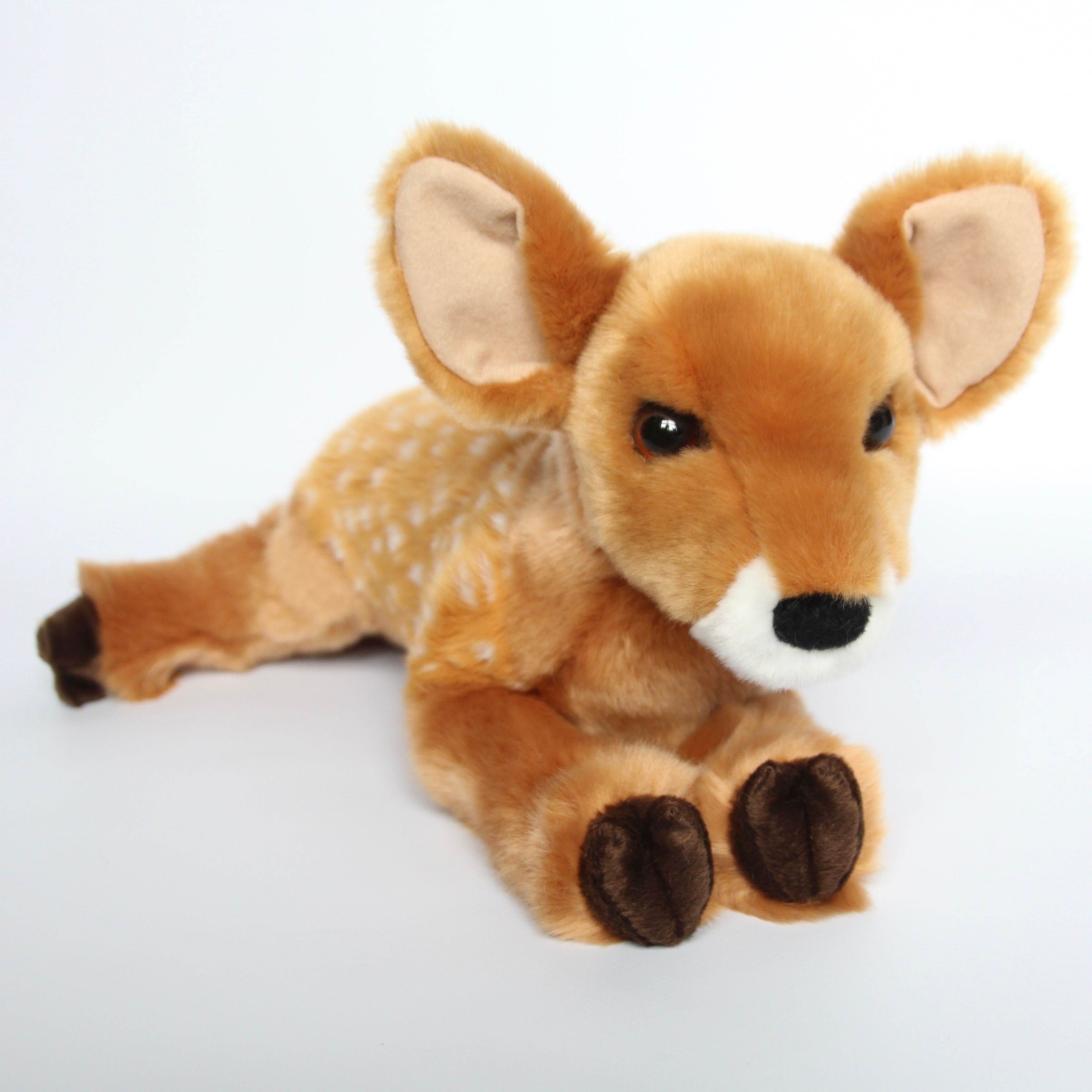 Fern Fawn