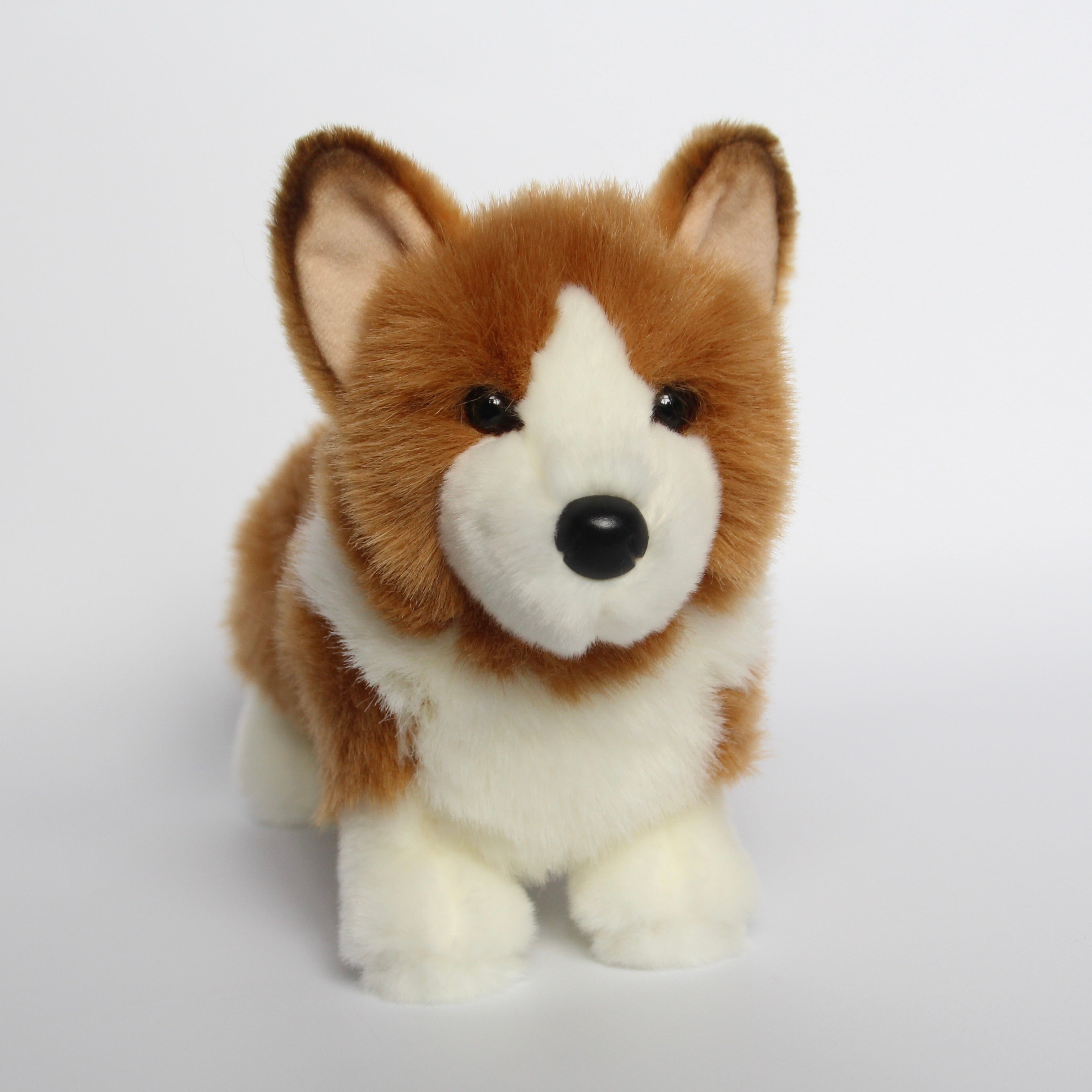 Louie Corgi