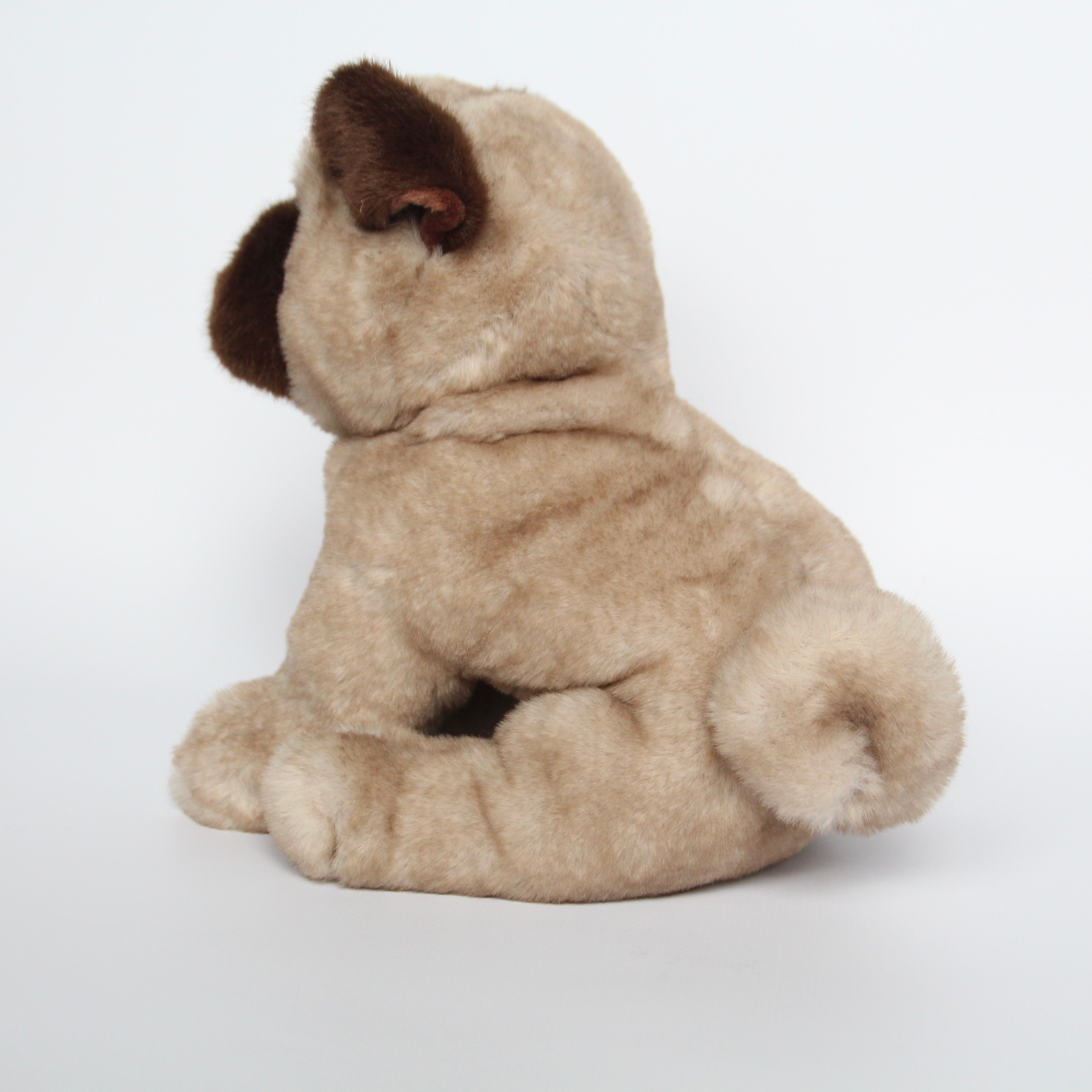 Milo Pug