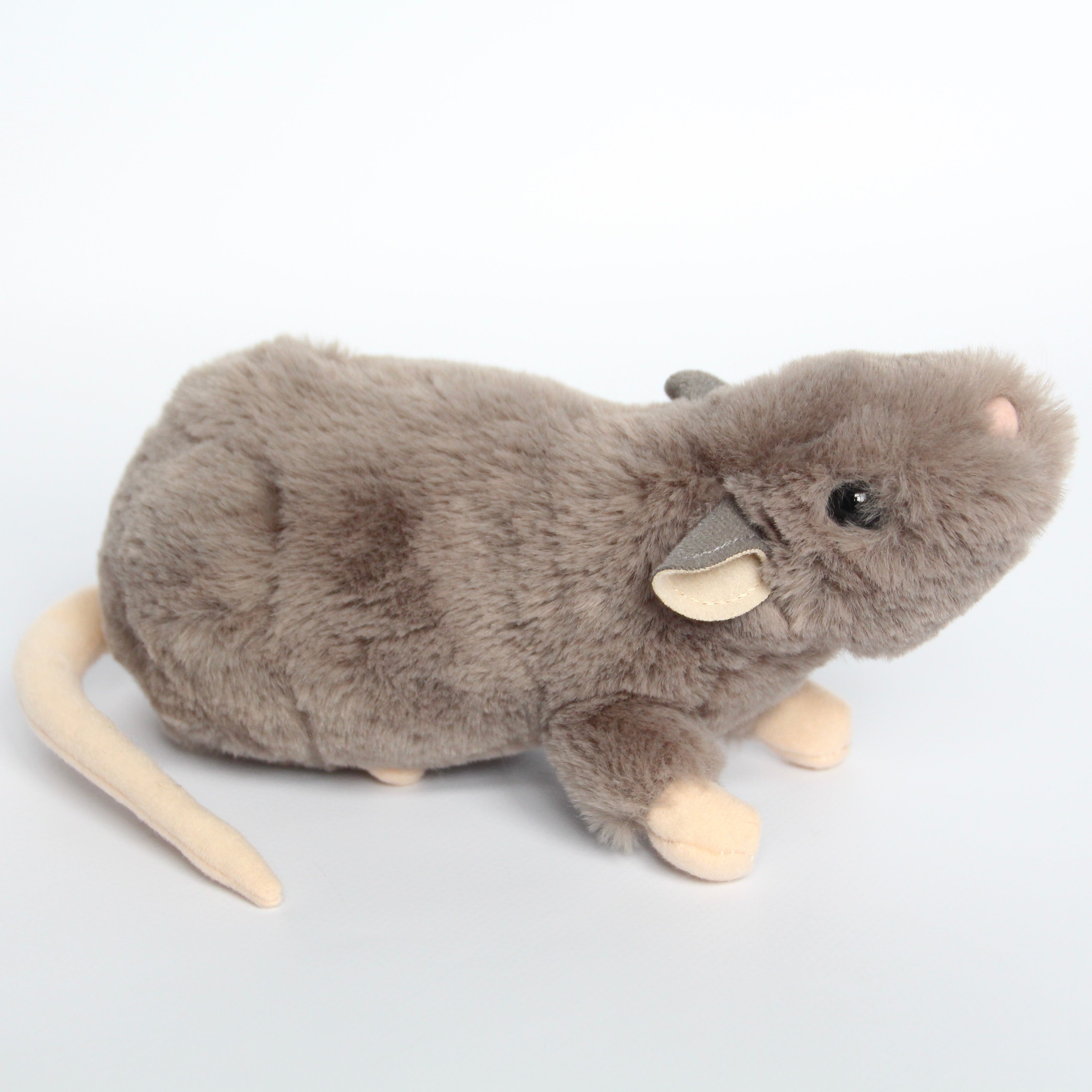 Ralph Rat