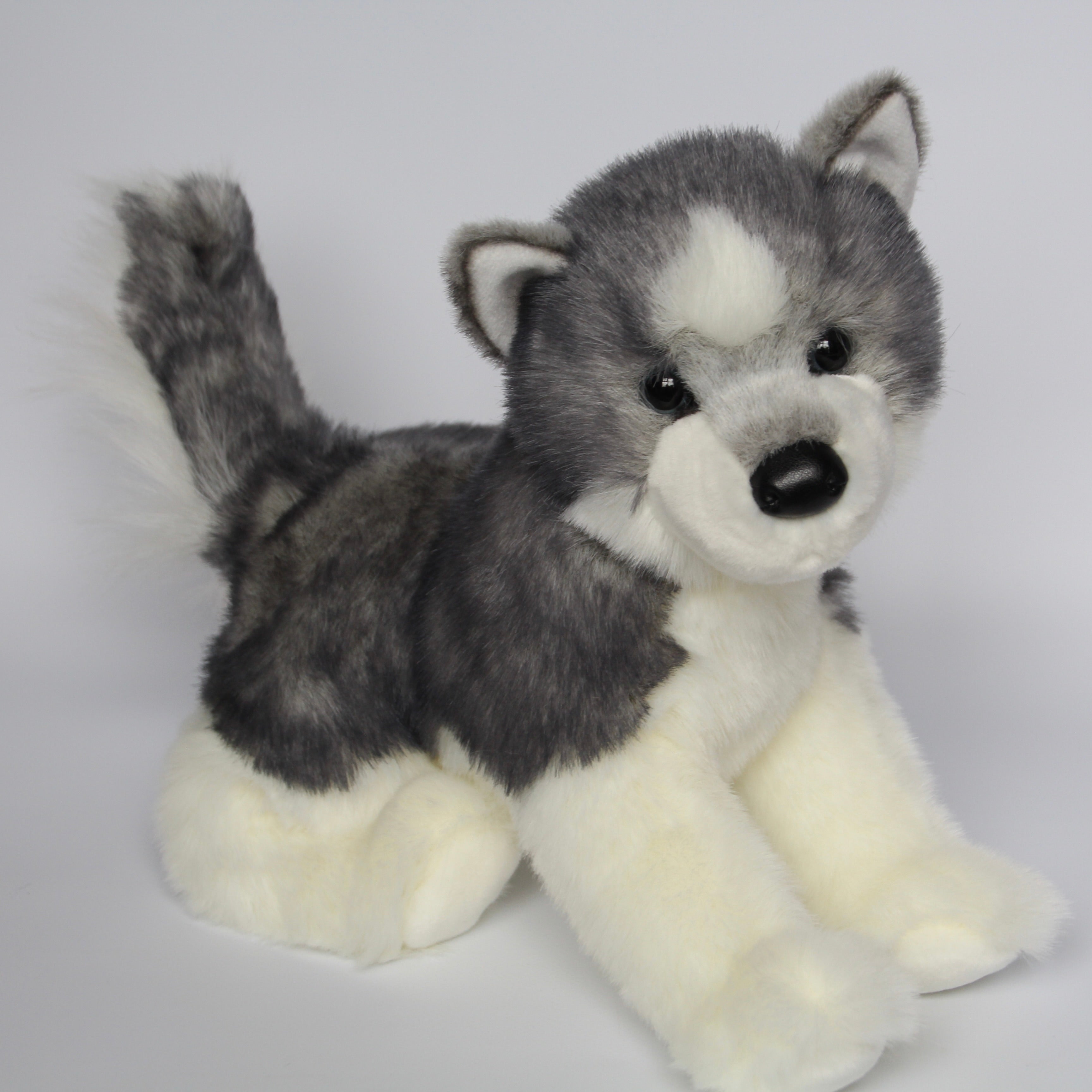 Sasha Husky