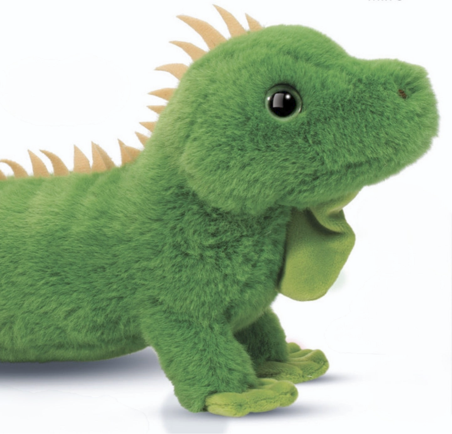 Buddie Iguana Soft