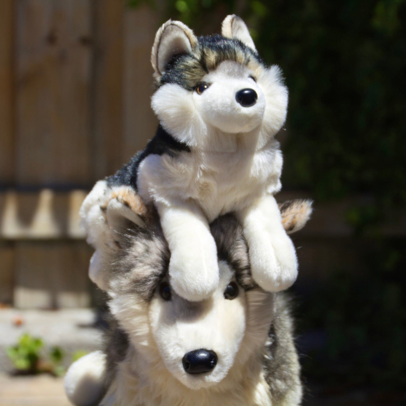 Smoke DLux Wolf
