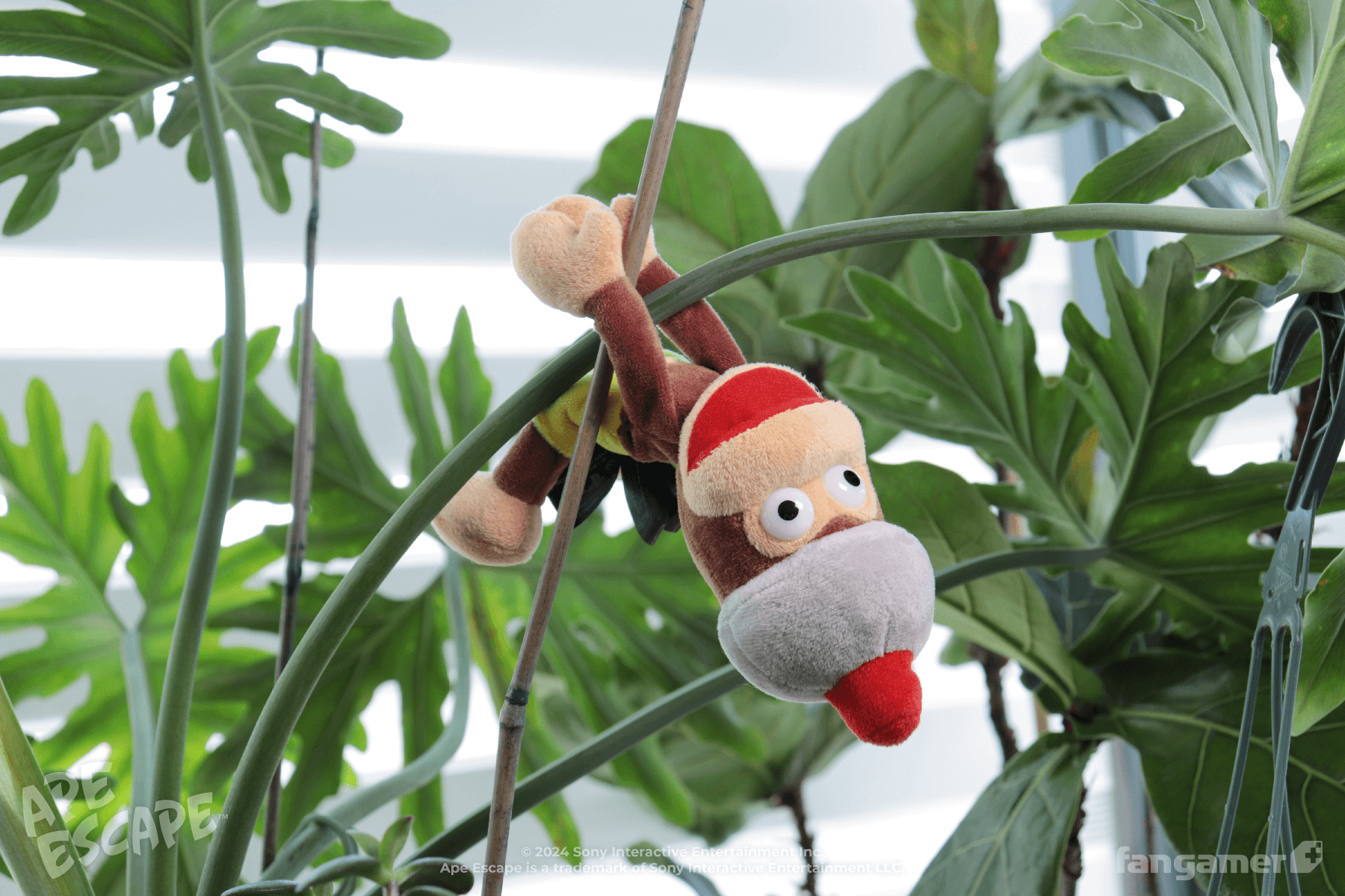 Pipo Monkey Plush