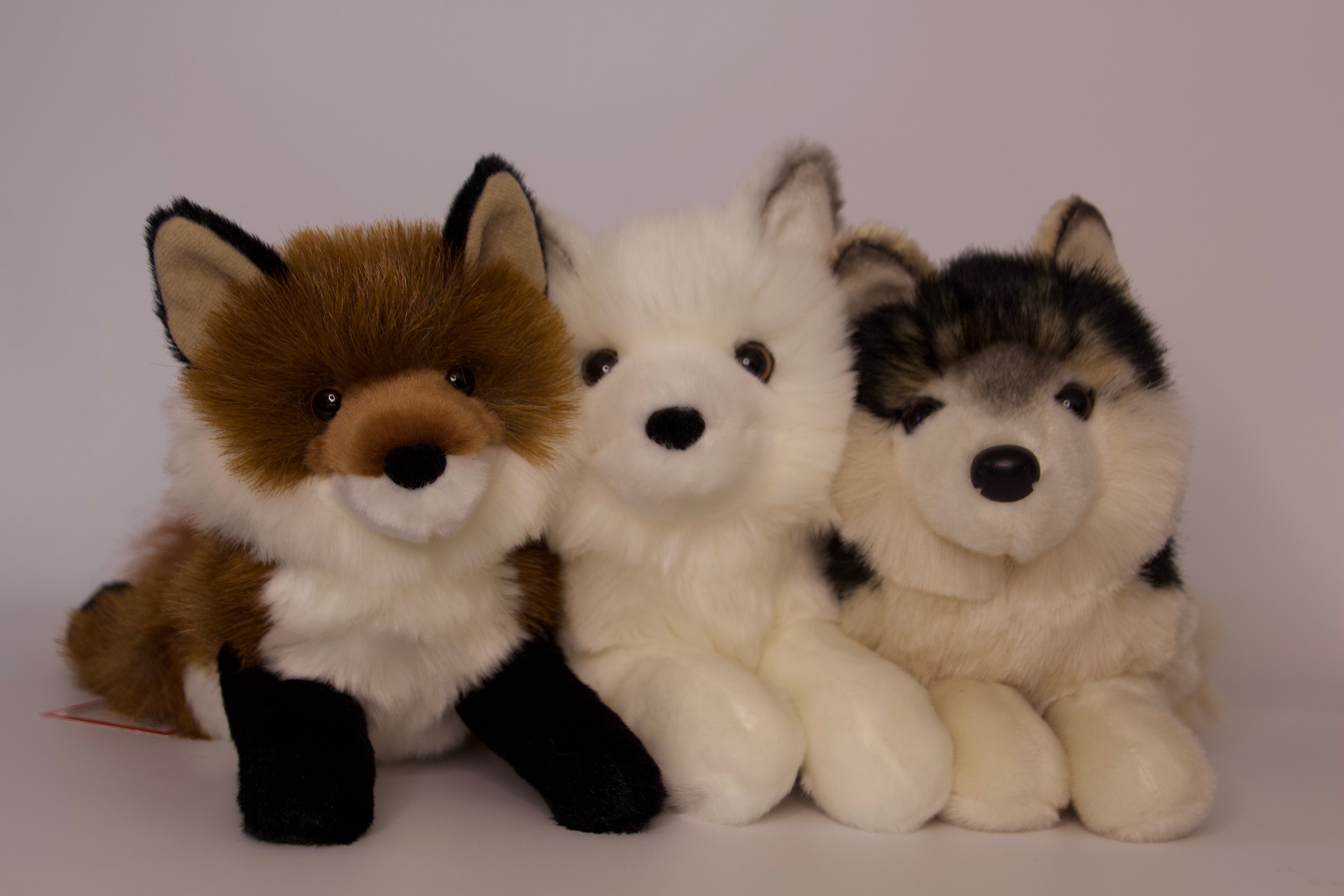 Yuki Arctic Fox